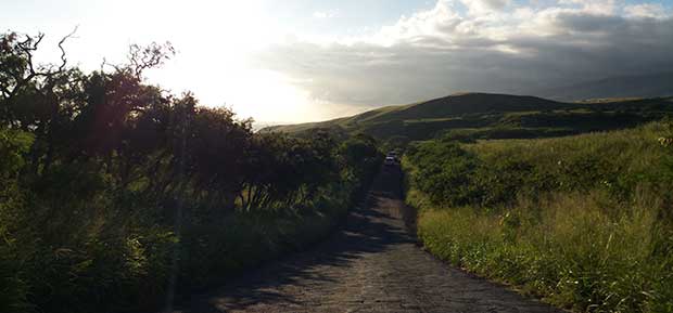 Sydöstra Maui på Hawaii, roadtrip med en hyrbil