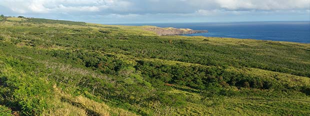 Sydöstra kusten på Maui 